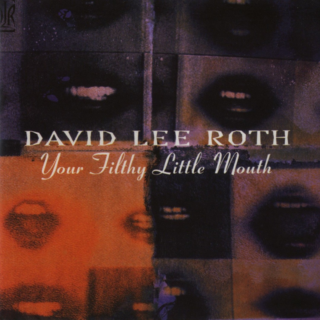 David Lee Roth ４枚セット　洋楽レコード David Lee Roth / The Warner Recordings 1985-1994 – SuperDeluxeEdition