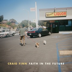 Craig Finn