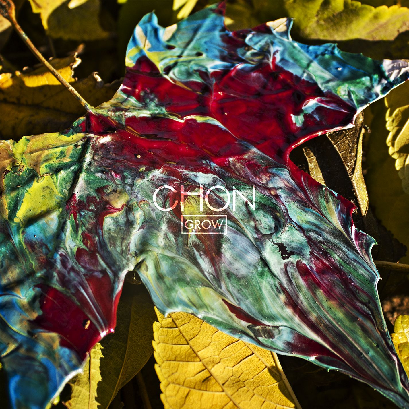 Chon