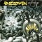Buzzov*en