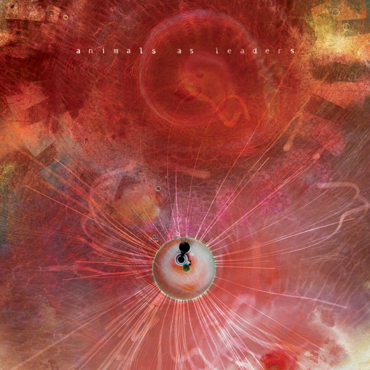 Animals As Leaders