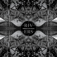 Wildbirds & Peacedrums