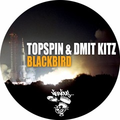 Topspin & Dmit Kitz
