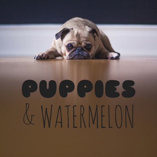 Puppies and Watermelon’s avatar