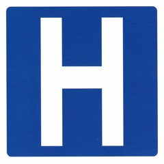 Collections Of Colonies Of Bees