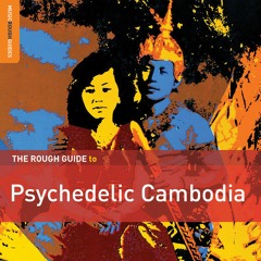 The Cambodian Space Project