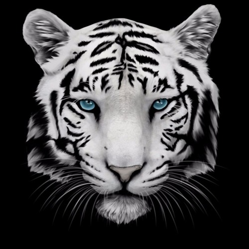 yannicktop yannick top free listening on soundcloud yannicktop yannick top free listening on soundcloud