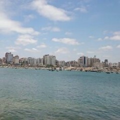 l ahmed