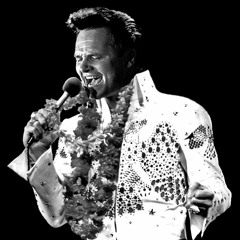 The Elvis Experience