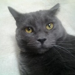 06 I'm So Sad, So Very, Very, Sad