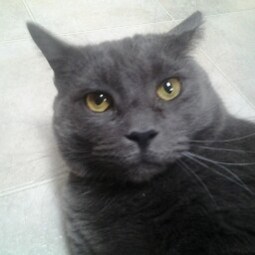 06 I'm So Sad, So Very, Very, Sad