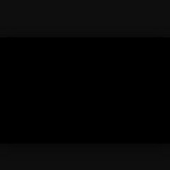 User 291551538