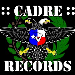 ::CADRE::RECORDS::