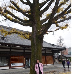 Rochelle Koshie Mateo