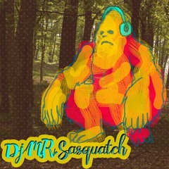 DJ Mr.Sasquatch