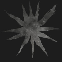 Sebastian araya lillo