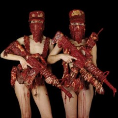 parabhen longfingerbandit