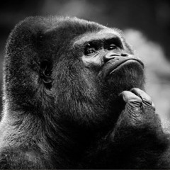 Александр Уткин