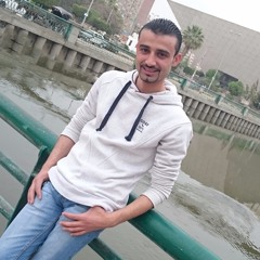 Ahmed El-Bsatiny