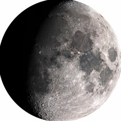 Ivy & Das Blumenmädchen