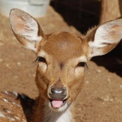 ACCOUNT MOVED @haku232