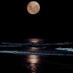 late@nite