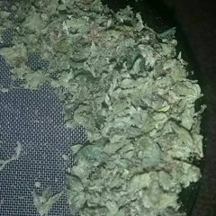 Joint$Chief Productions