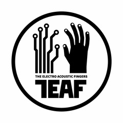 TheElectroAcousticFingers