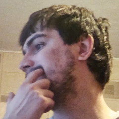 Денис Зибзеев