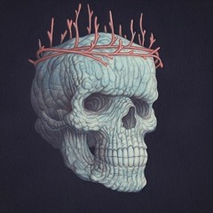 Spirit Bird / Early Bird Show