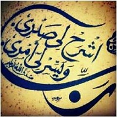 User 919874259