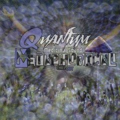 Quantum Metaphorical LIVE\SET