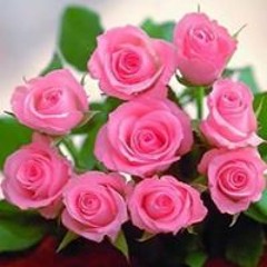 Haitham Zaabii