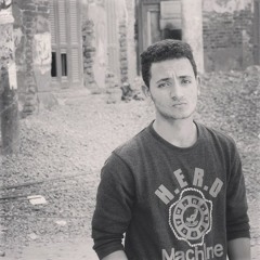 Tarek Ayman 3
