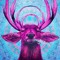 BullMother