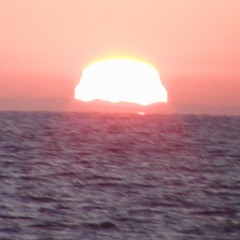 I.C Sheepdogs and I.C