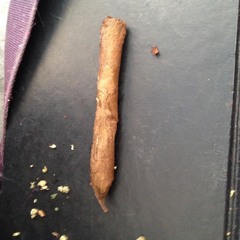 case21