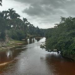 maumarsilva