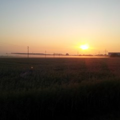 Matthias Schneider 10