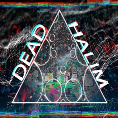 ＨＡＬＩＭ