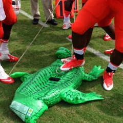 go canes