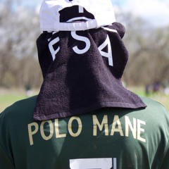 Polo Mane