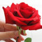 hesham