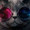 GalaxyCat