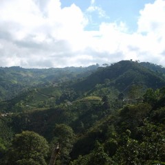 06 Command (DS1 Remix)