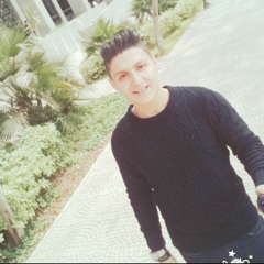 Mohamed Abd Elaziz 7