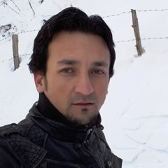 ginan