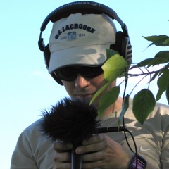 คՇє๓ק๏гคɭเՇץ