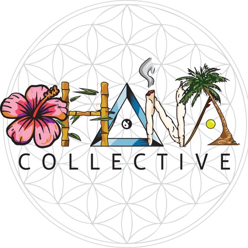 Ohana Collective’s avatar