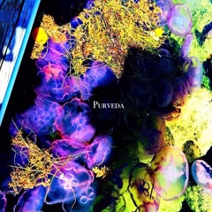 PURVEDA